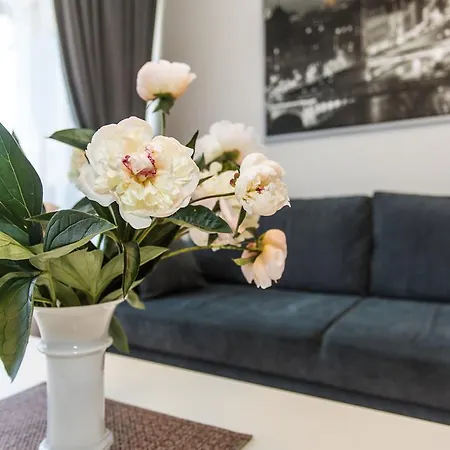 Birutes G. Apartamentai شقة *